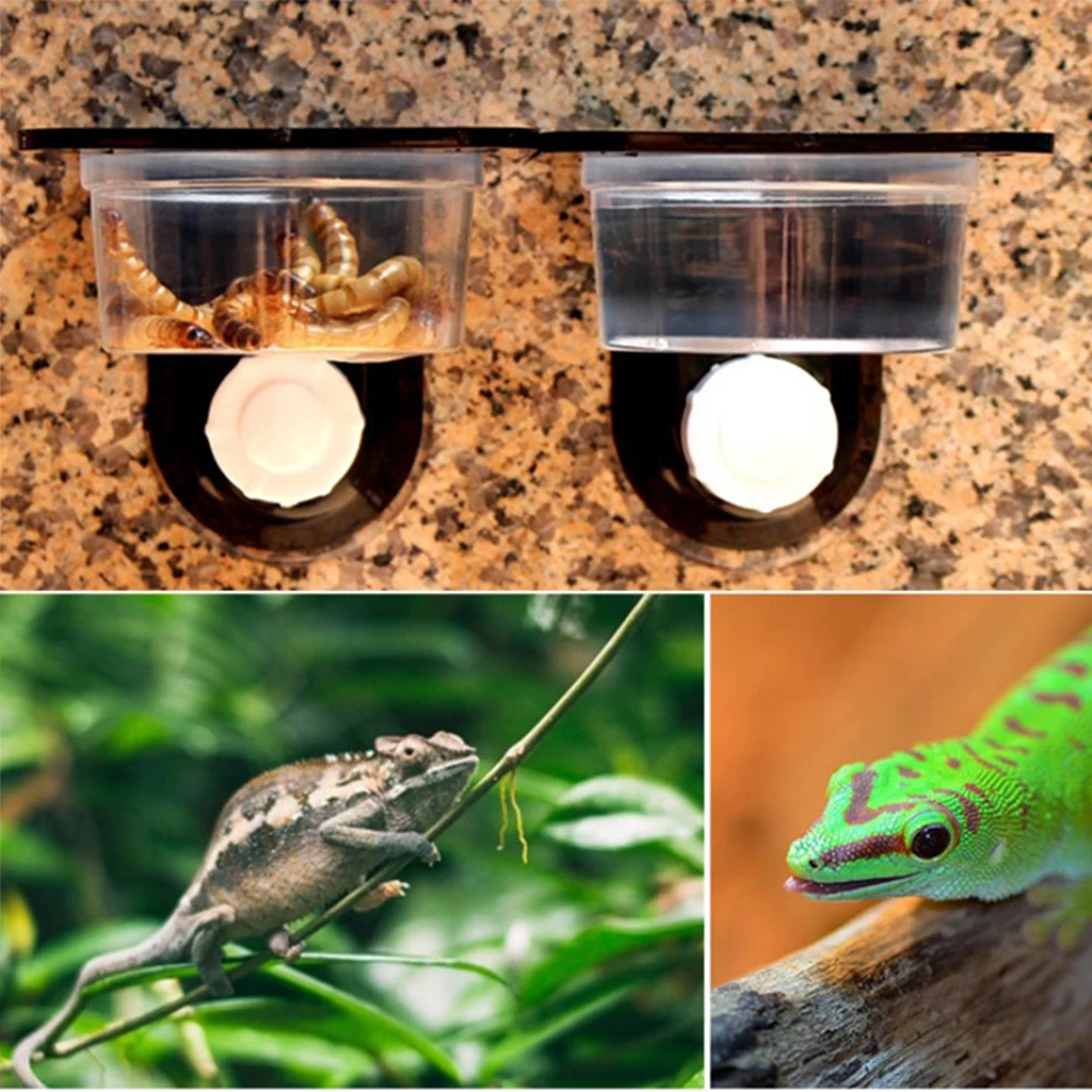 1 Pair Plastic Diameter 6cm Round Bowls For Amphibians Gecko Lizard Turtle