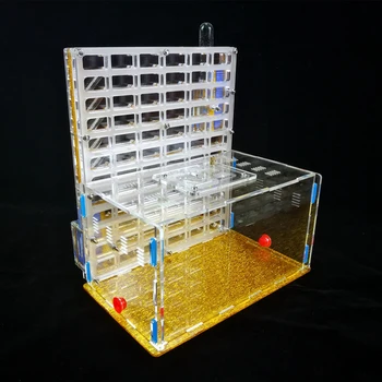 

Transparent DIY Ant Nest Antgranery Moisture Feeding Area Acryl Ant Farm Ants House Birthday Present Gift