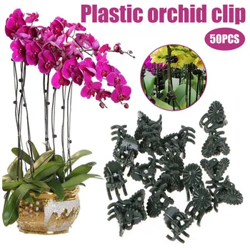 

50 Pcs Vine Plastic Clips Hanging Stems Decoration Orchid Stalks Fix Flower Grow Upright Grafting Tool Garden Plant Support