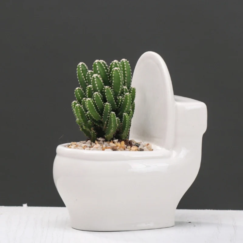 Мини Кактусы В Горшках Купить