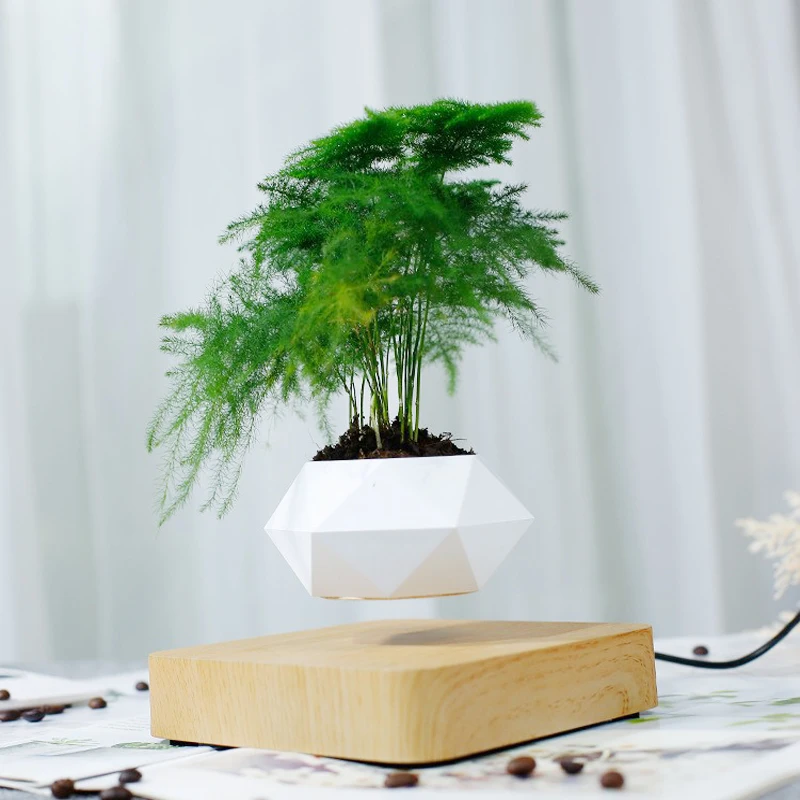 Dropshipping levitação ar bonsai pote de rotação