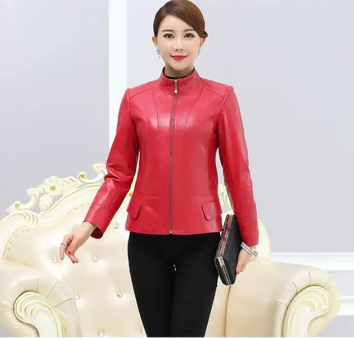 QQ0802104828