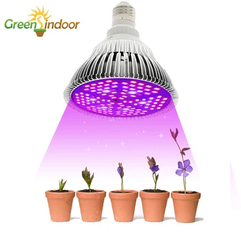 

E27 LED Grow Light Bulb Full Spectrum Phyto Lamp For Plant Seed Seedlings Growth Succulents Fitolampy Lights For Indoor Growing