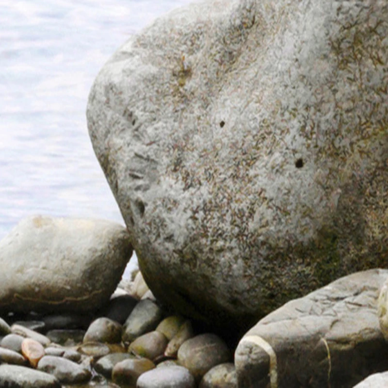 Custom-Wall-Mural-Wallpaper-Modern-Simple-3D-Window-Garden-Small-River-Flower-Grass-Fresco-Living-Room (2)