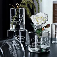 O. RoseLif Neue Nordic Kreative Transparent Brief Glas Vase Hydrokultur Vase Dekoration Für Home Hochzeit Blume Flasche Bar