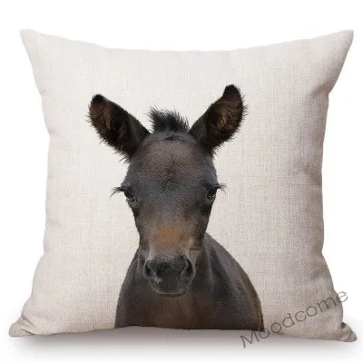 conew_t215 (29) 副本