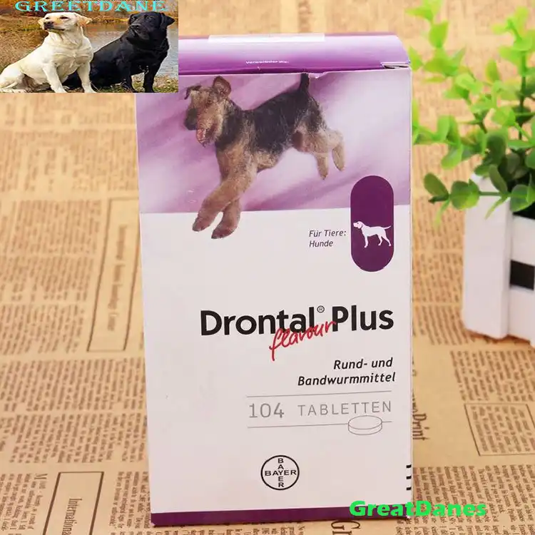 drontal for tapeworms in dogs