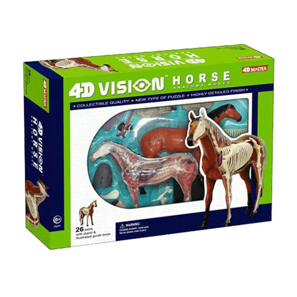  4D Horse Intelligence Assembling Toy Animal Organ Anatomy Model Medical Teaching DIY Popular Scienc - 4000469912607