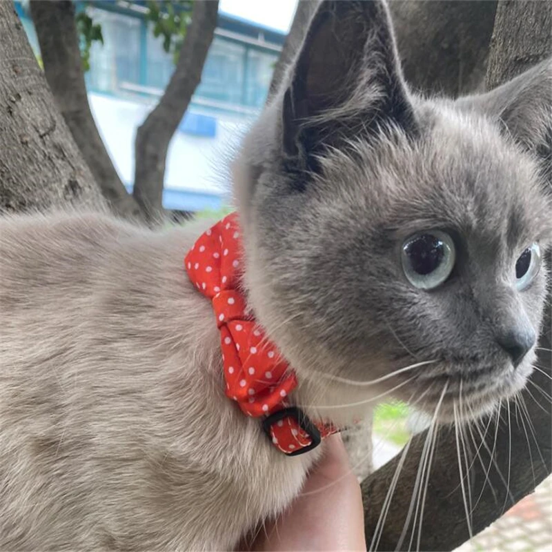 Adjusable эластичный ошейник с "бабочкой" маленькие собаки для кота маленьких
