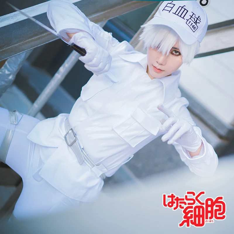 白血球主图02