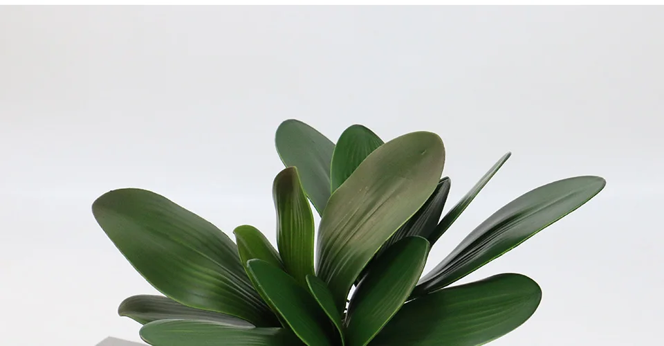 Моделирование растений фаленопсис лист декоративные цветы вспомогательный материал для цветочного оформления листья орхидеи микро Ландшафтный Декор