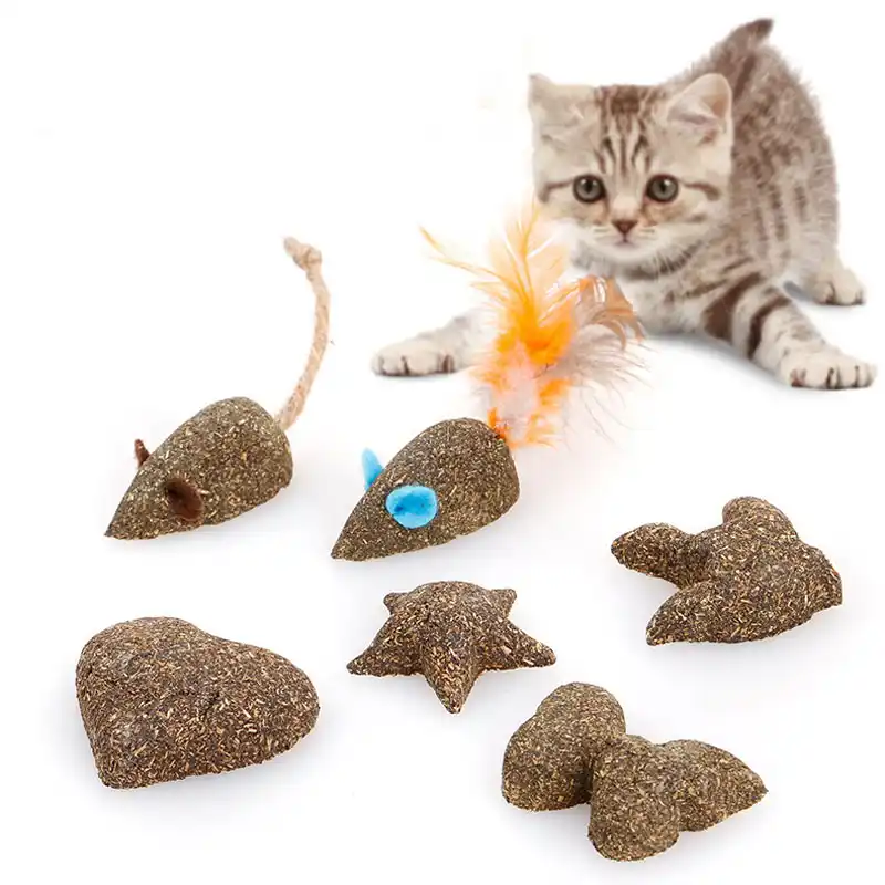 catnip toys safe