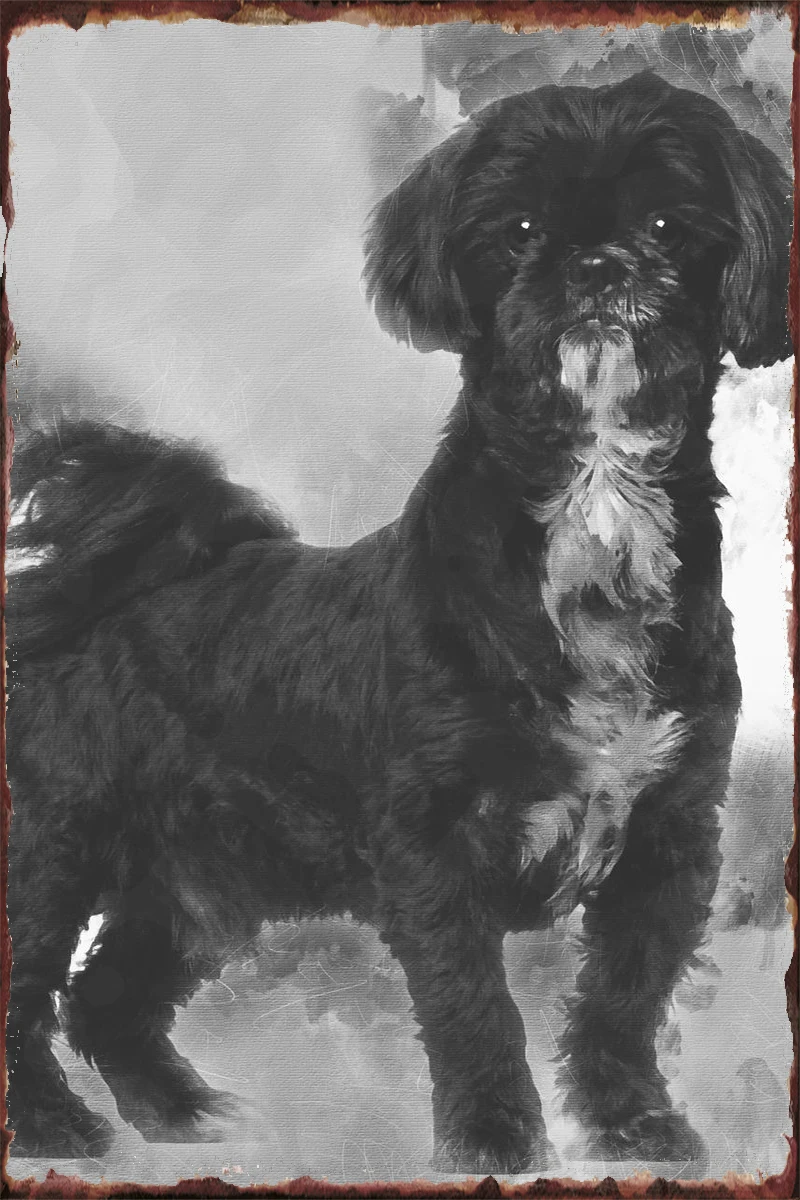 Стационарный Настенный декор Shih Tzu украшение для комнаты Ретро винтажный