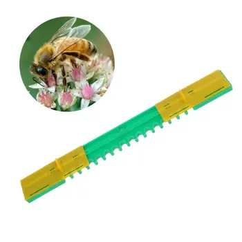 

5pcs Anti-escape Doors Bee Beehive Door Entrance Gate Beekeeper Tool Beekeeper avoid bees from escaping