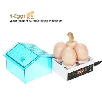 

New 4pcs Digital Temperature Small Brooder 4 Mini Hatchery Egg Incubator Hatcher for Chicken Duck Bird Pigeon Quail Egg Machine
