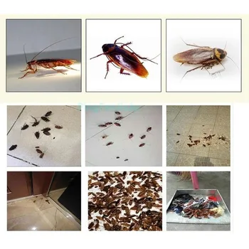 

50PCS/Lot Effective Bait Powder for Cockroach Insect Strong Roach Killer Fly Bait Efficient Cockroach Killing Bait Fly Bait