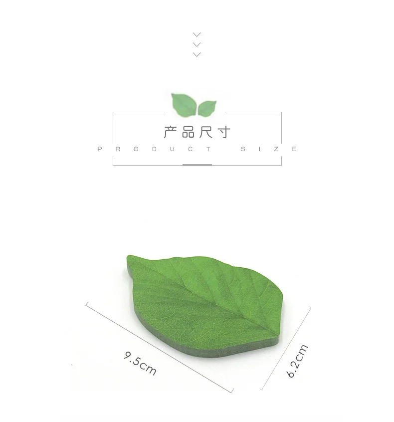 11429711405_201680847