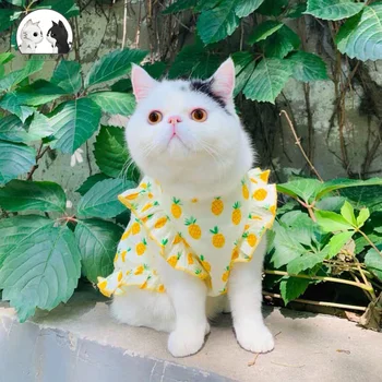 

Summer Pineapple Dress for cat Pet Clothes Sweet Cute Fruit Skirt kitten Clothing Small Medium Dog Cat Pet Breathable Clothes