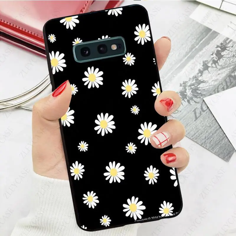daisy flower