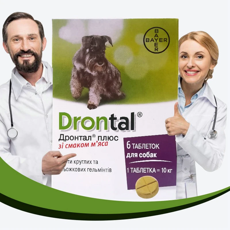 Drontal Plus Allwormer для собак и щенков любого размера грязевка собак|Лотки| |