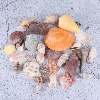 

Fish Tank Landscaping Ornaments Mixed Aquarium Conch Shells Ornaments Photography Props Home Decorative Ornaments (1 Catty, 2-8c