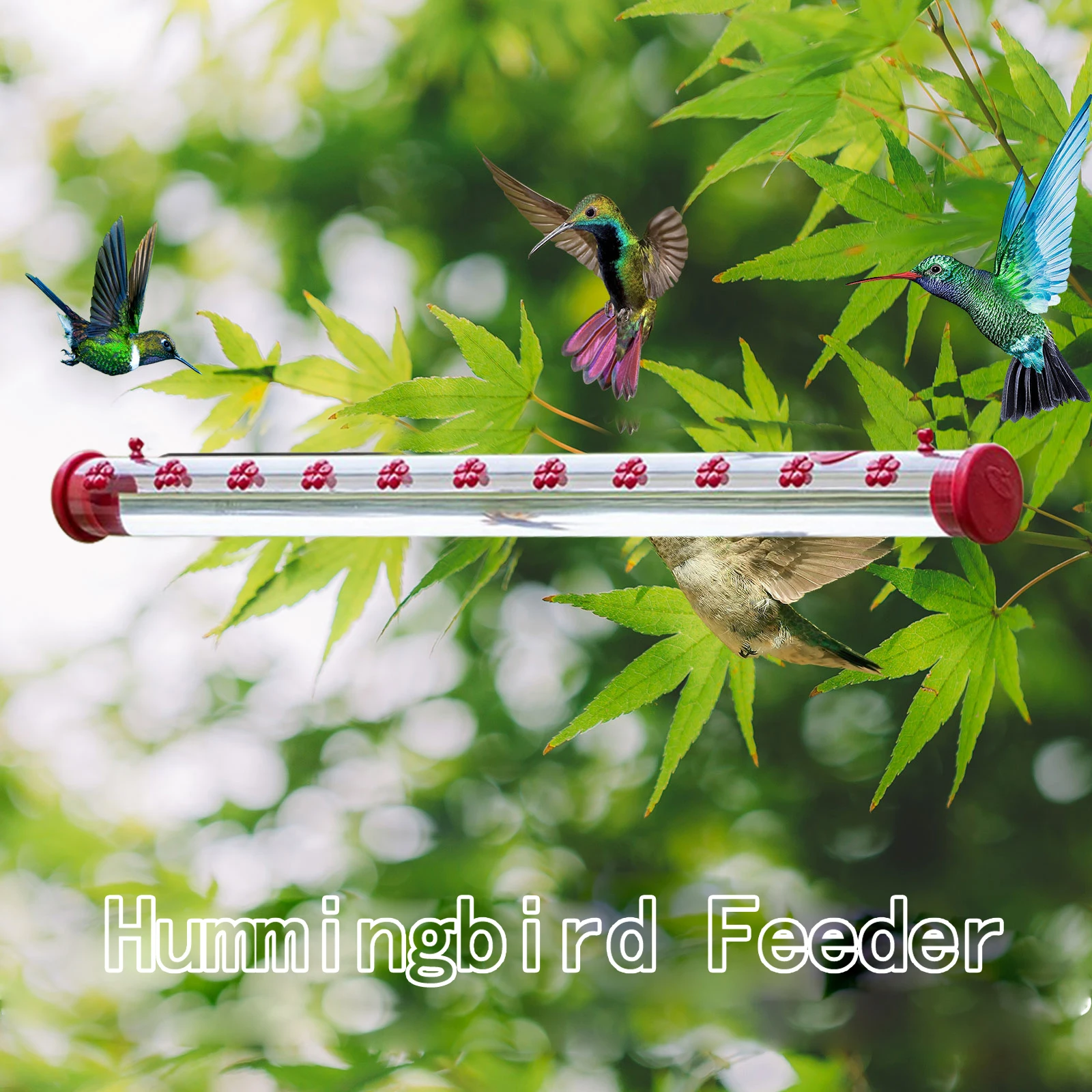 Best Hummingbird Feeder with Hole Birds Feeding Transparent Pipe Outdoor 40 55CM Best Hummingbird Feeder with Hole Birds Feeding Transparent Pipe Outdoor 40 55CM