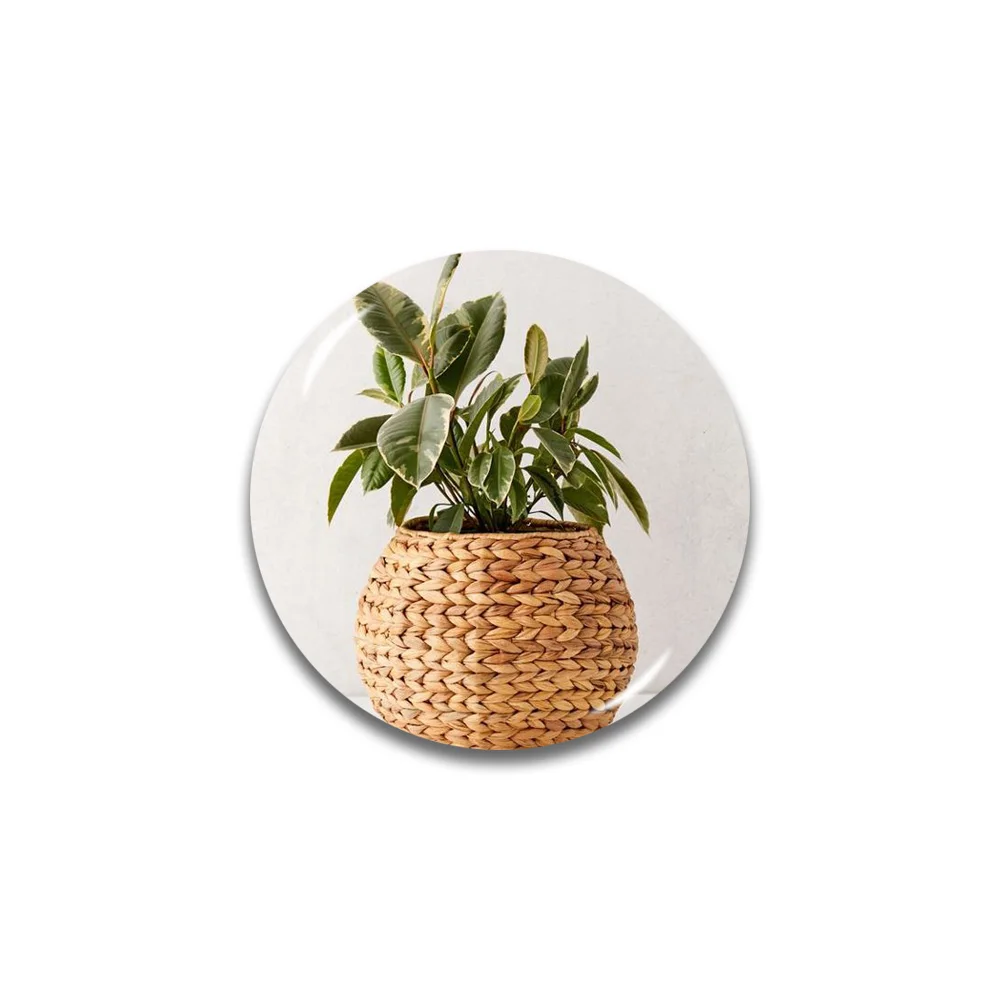 Lychee Plant Series 3D магнит на холодильник круглой формы магниты на холодильник сувениры для путешествий украшение для дома и кухни - Цвет: 52