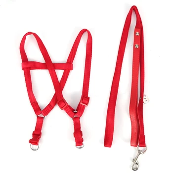 

8-shape harness Bird Harness Leash Adjustable chew-resistant tear-resistant Bird Leash for scarlet macaw cockatiel parrot