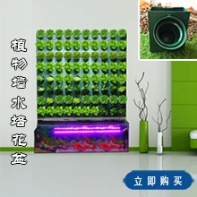 水培