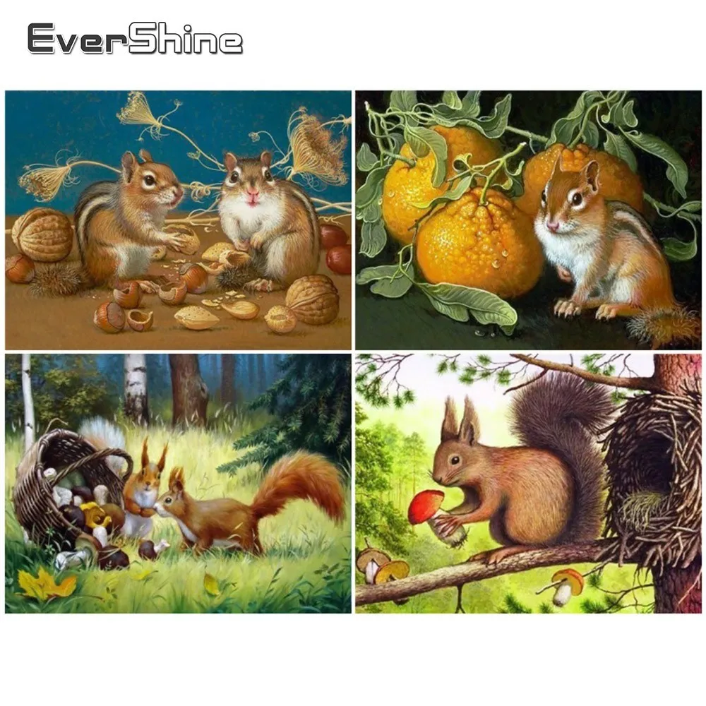 EverShine 5D DIY Diamond Painting Squirrel Cross Stitch Embroidery Full Display Animals Handmade Art Wall Decoration | Дом и сад
