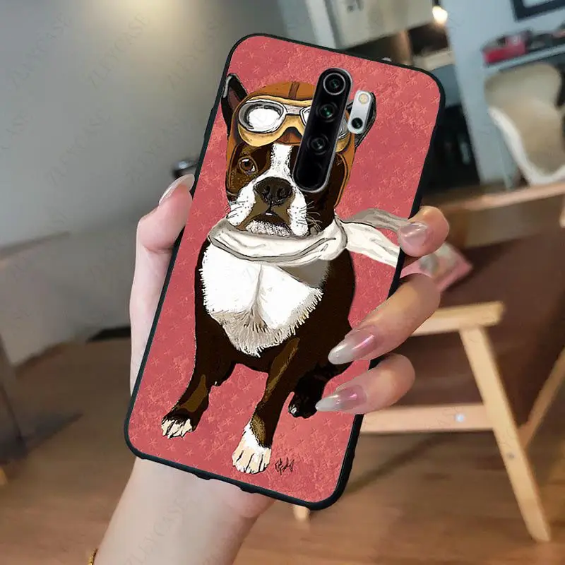 Hipster Boston terrier dog