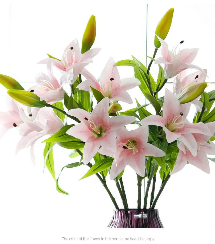 TB262ImfR8lpuFjy0FnXXcZyXXa_!!3038731817