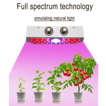 

Full-Spectrum LED Growth Lamp 1000W Suitable for Indoor Flowers and Seedlings Hydroponic Greenhouse Suitable Plant Lamp