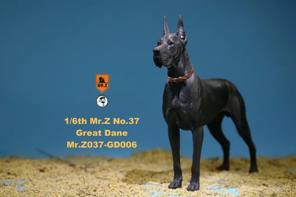 48