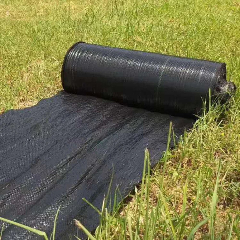 Tessuto Barriera Contro Le Erbacce Resistente 3m X 10m - Membrana In Polipropilene Traspirante, Resistente Ai Raggi UV, Ideale Per Ghiaia E Prato Artificiale