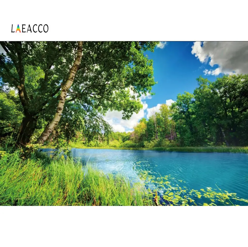 Laeacco Photographic Backgrounds Green Lake Grass Tree Blue Sky Cloud Natural Scenic Photography Backdrops For Photo Studio | Электроника