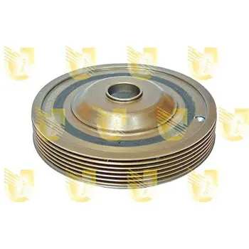 

Motor pulley CLIO III/MICRA/MEGANE II 1,5 DCI421782UNIGOM