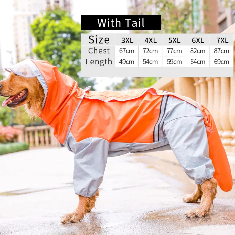 Orange With Tail