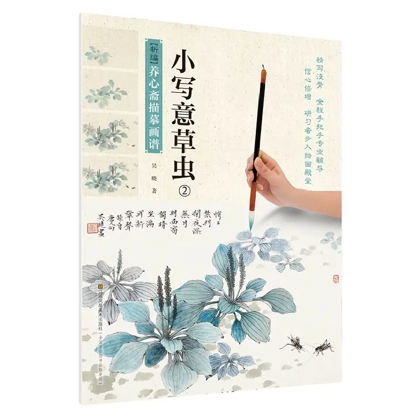 Paesaggio Cinese Meticoloso Gongbi Dipinto Libro Di Tracciamento E Schizzi Recentemente Modificato Di Erba E Insetti (2) Dibujo Libros