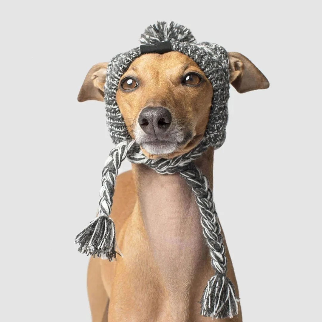 Bonés p cães