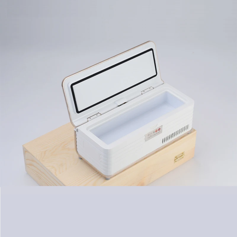 Insulin Cooler Medicine Box Insulin Storage Case Cooler Bag Interferon Pen Storage Battery Powered Fridge