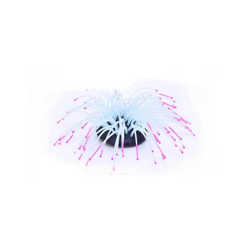 WM0510 (6)