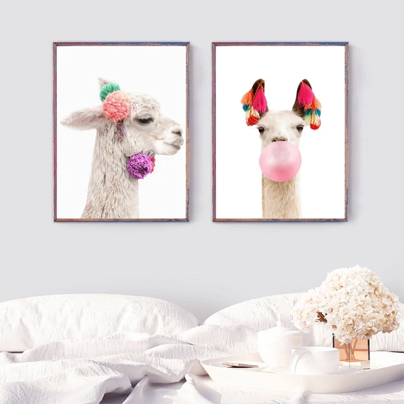 Baby Alpaca Canvas Print Home Decor