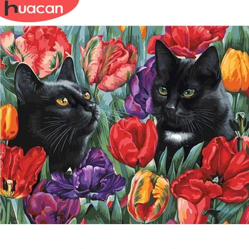 

HUACAN Paint By Number Cat Animal Drawing On Canvas HandPainted Painting Art Gift DIY Pictures By Number Flower Kits Home Decor