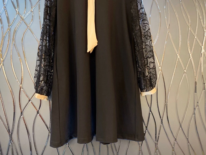 winter new women lapel fight lace sleeve dress strap 1109
