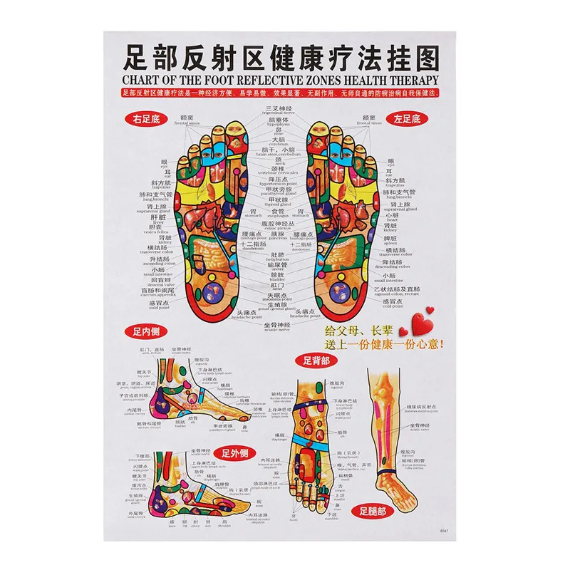 foot 1 шт./компл. акупунктурный массаж точки карту на китайском и английском языках «Меридиан» биологически активные точки Плакаты Таблица Настенная карта для медицинской учебной - Цвет: foot