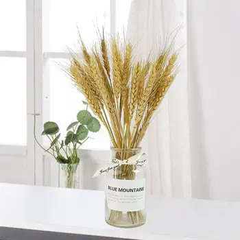 

Dry Flower And Vase Kit Wheat Plants Photography Props Home Adornment Desktop Decroation Wedding Ornament Home Decor
