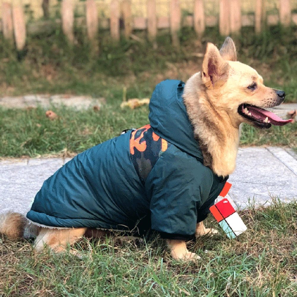 Dog Autumn/Winter Clothes Pet Hoodie Two-Legged Plush Jacket Warm Coat With Traction Rope Reflective Striped Coat