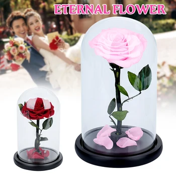 

Eternal Flower Preserved Fresh Flower Rose Glass Cover Floral Decor Valentine'S Day Party Immortality Romantic Home Decoration