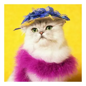 

5D Diamond Painting Kits for Adult Full Drill Paint with Diamonds for Home Wall Decor 12x12inch，Hat cat